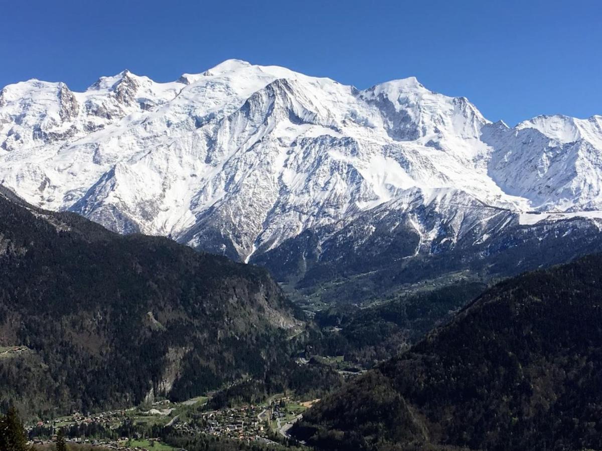 Fizhome Mt Blanc Passy  Esterno foto